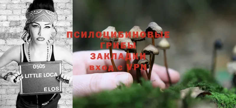 ОМГ ОМГ ССЫЛКА  Кремёнки  Галлюциногенные грибы MAGIC MUSHROOMS  магазин  наркотиков 